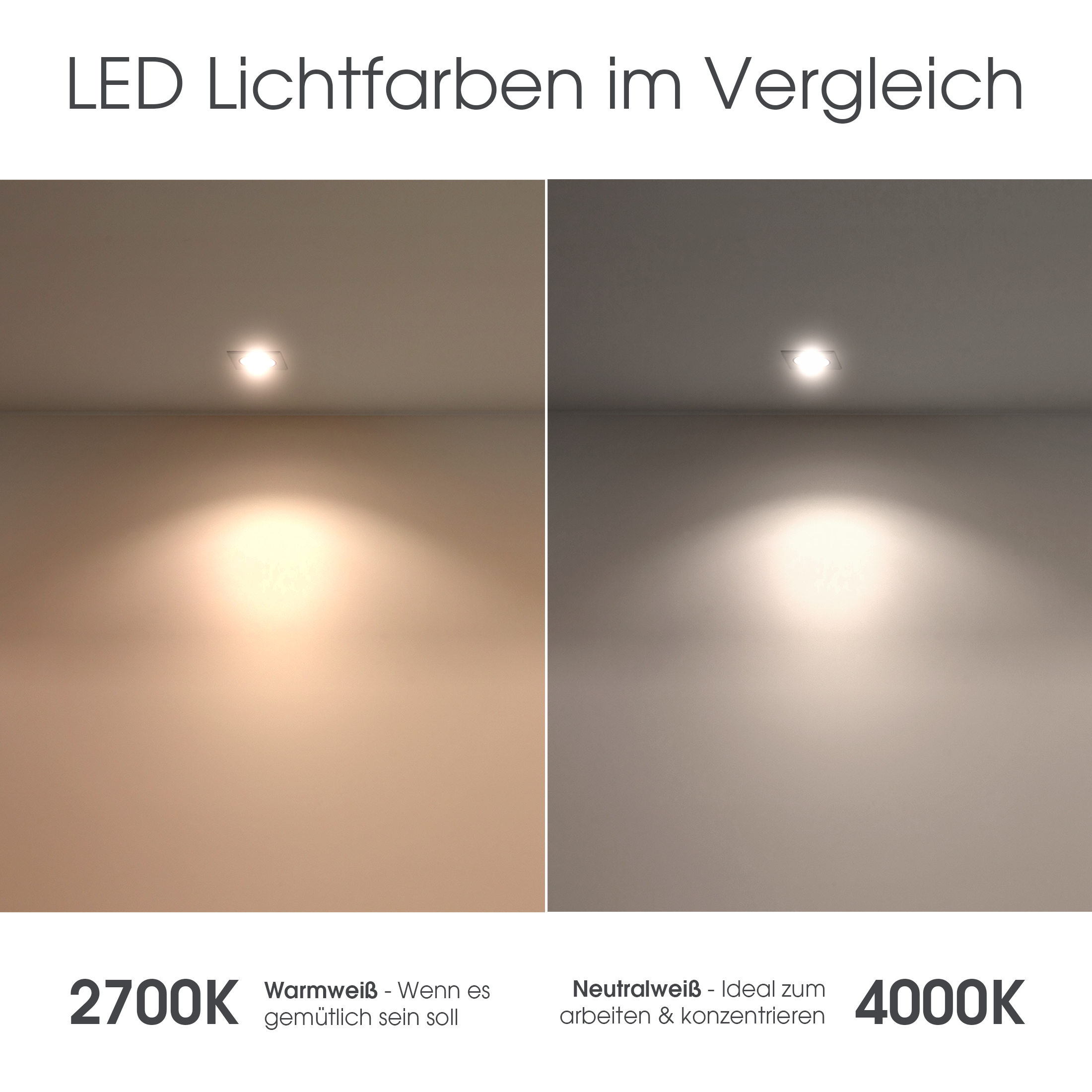 Decken-Aufbau-Spot Alu schwenkbar inkl LED Leuchtmittel 5W COB neutral weiss